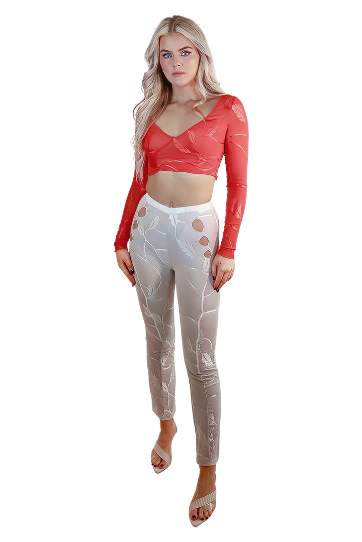 Mesh Red Foliage Hot Extra Long-Sleeve Flare V-Neck Flattering Floral Crop