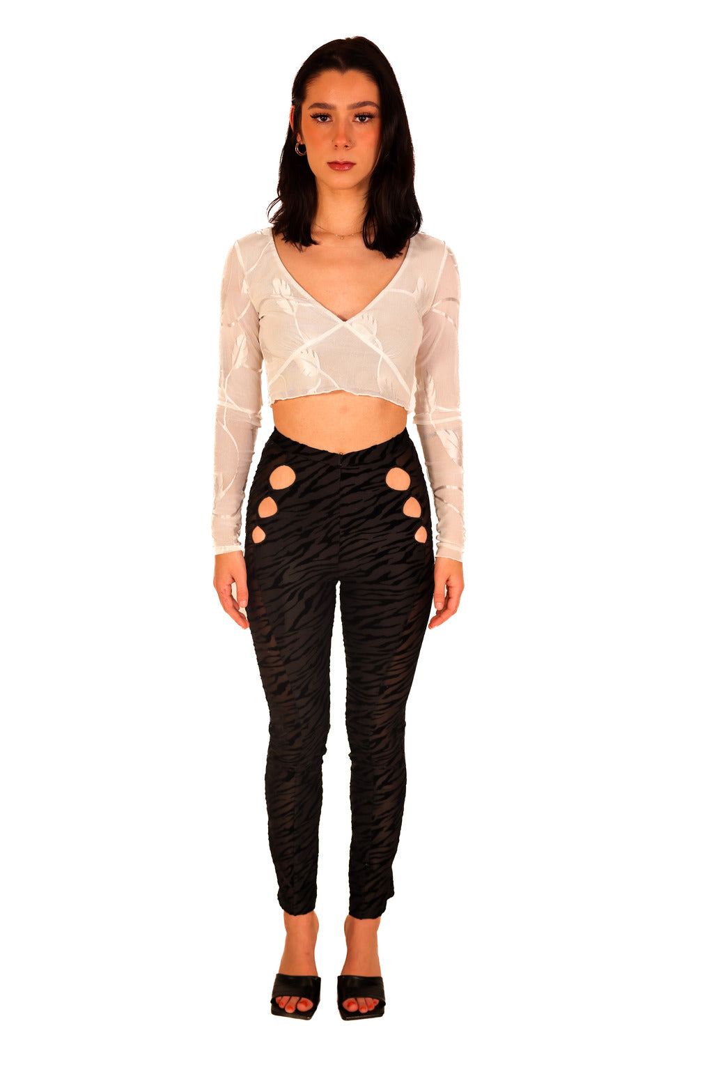 High Waist Black Zebra Print Mesh Skinny Cutout Curvy See-Through Panel Long Pants